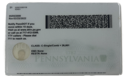 [New] Pennsylvania Fake ID - Duplicates Included - Image 2